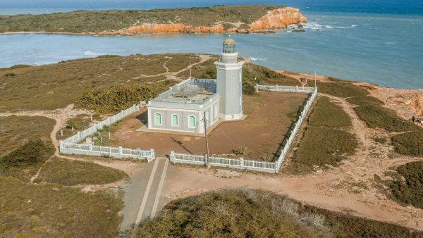 Beneficios arandanos rojos