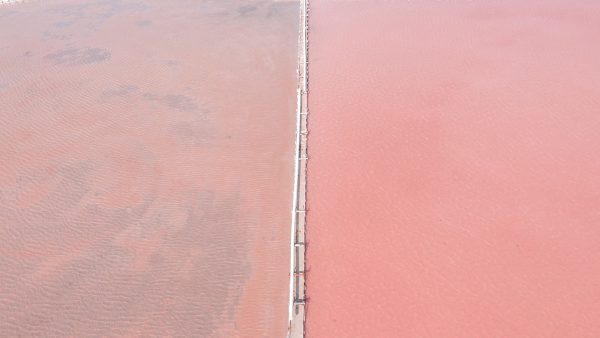 El té rojo quita el sueño