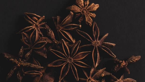 Planta de anis ⋆ Bienestarvalencia.com - Cuida tu salud