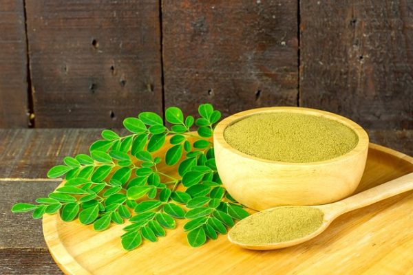 Moringa del sur