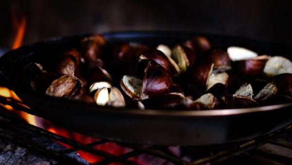Castaña pilonga no comestible