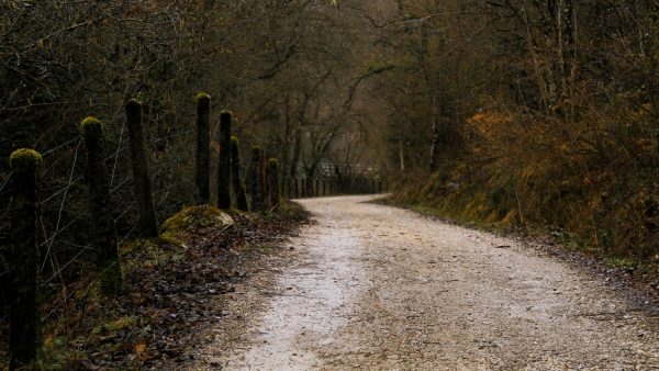 Tipos de almendras españolas