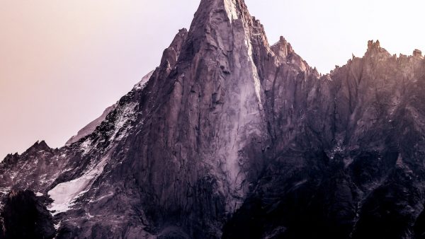 Receta galletas harina de avena
