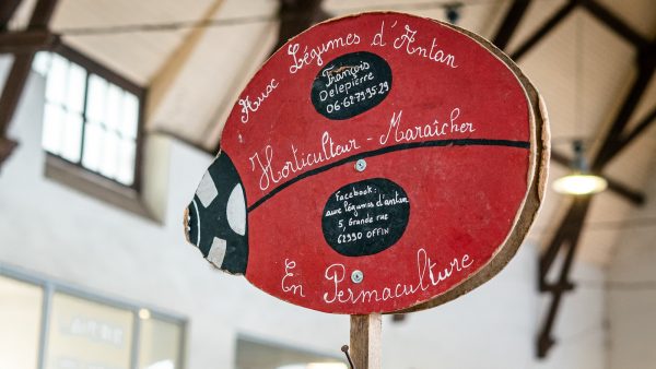 Guisantes son legumbres