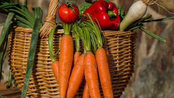 Fruto seco mas barato