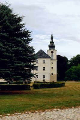 2. ¿Cuáles son los componentes del propóleo y cómo afectan su sabor?