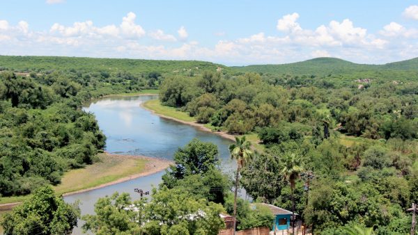 Crema catalana sin azucar
