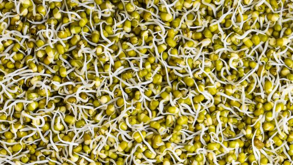 Cuanto tiempo se cuecen las lentejas