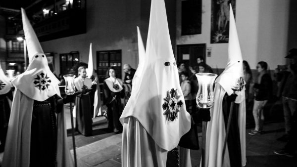 Semillas de lino marron beneficios