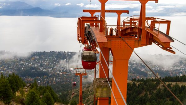 Raiz de flor de loto