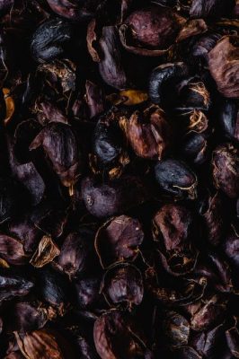 Nueces cascara