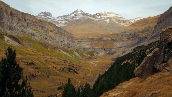 Arroz amarillo con verduras