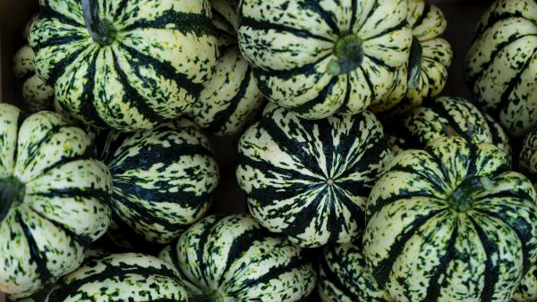 Albondigas vegetarianas receta