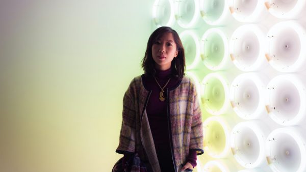 Cuantas bayas de goji hay que tomar al dia