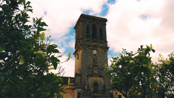 Aceite de sesamo contraindicaciones