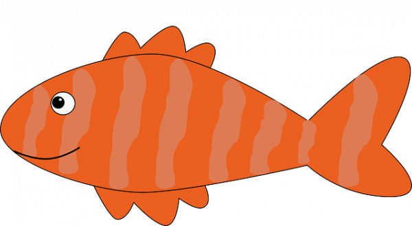 Cómo marinar el salmón