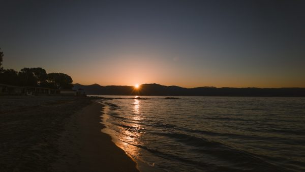 Contraindicaciones de la miel de manuka