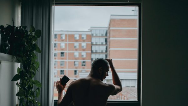 7. Problemas y enfermedades comunes de la Melocotonera