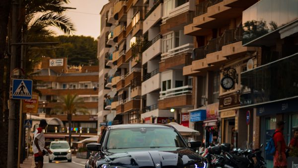 Esencia de clavo para que sirve