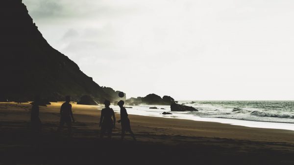 Propiedades de las semillas de sesamo tostadas