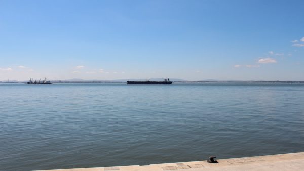 Harina de fuerza sirve para bizcochos