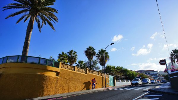 Sal rosa del himalaya tiene yodo