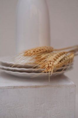 Propiedades del ajo blanco