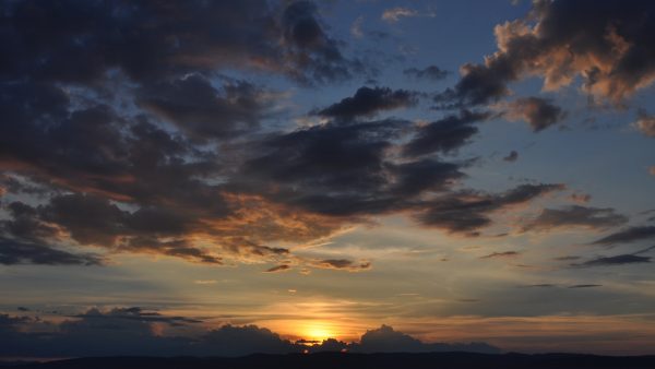 Calorias del sirope de agave