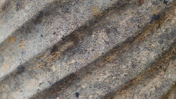 Despertar de buda maca y vainilla