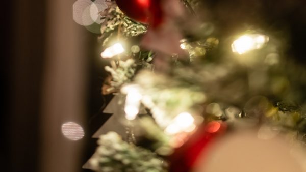 Pure de lentejas rojas