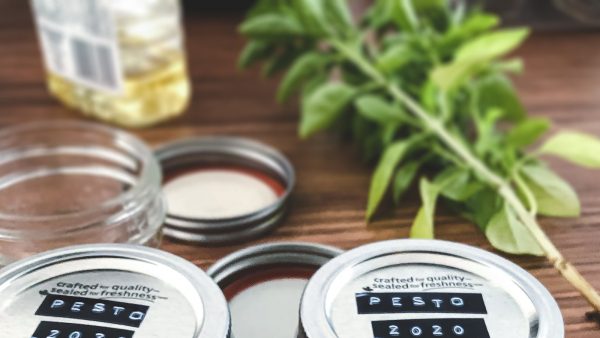 Gutsy captain kombucha