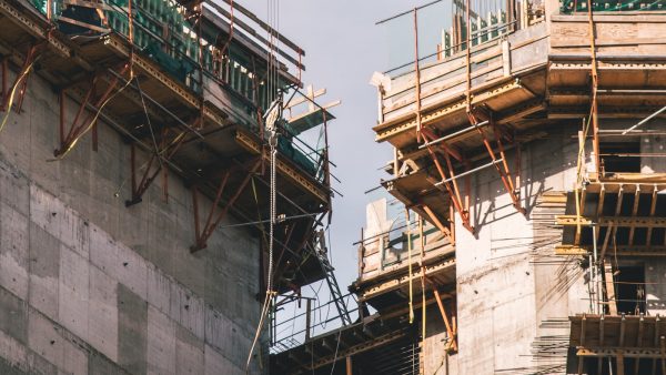 Tomate seco en polvo