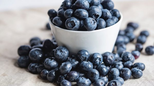 Arandanos para la memoria