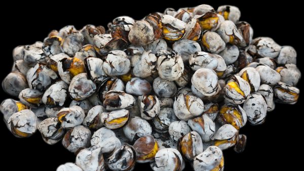 Castañas brasileñas