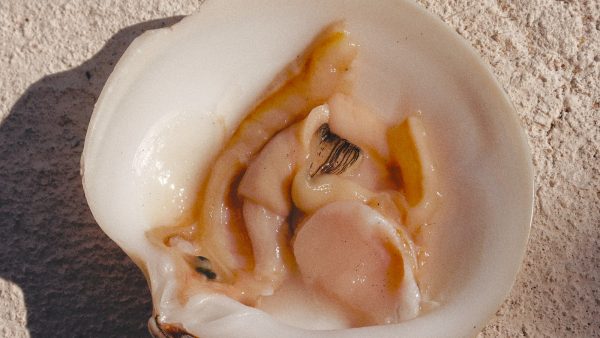 Spaguetti con almejas