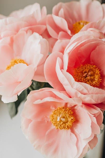 Aroma de