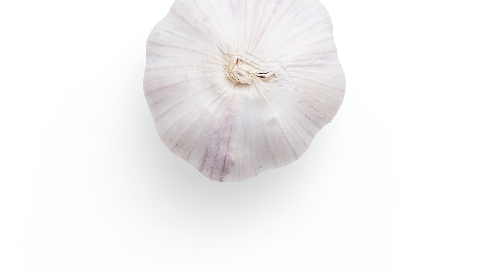 Ajo y perejil en aceite cuanto dura