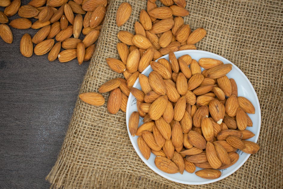 Harina de proteina