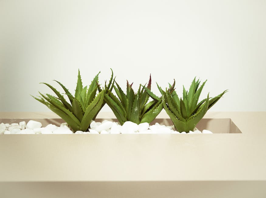 Propiedades aloe vera bebida