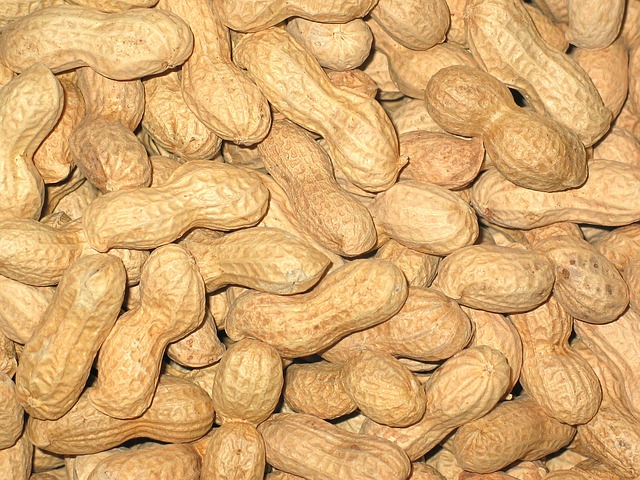 Los cacahuetes tienen hierro
