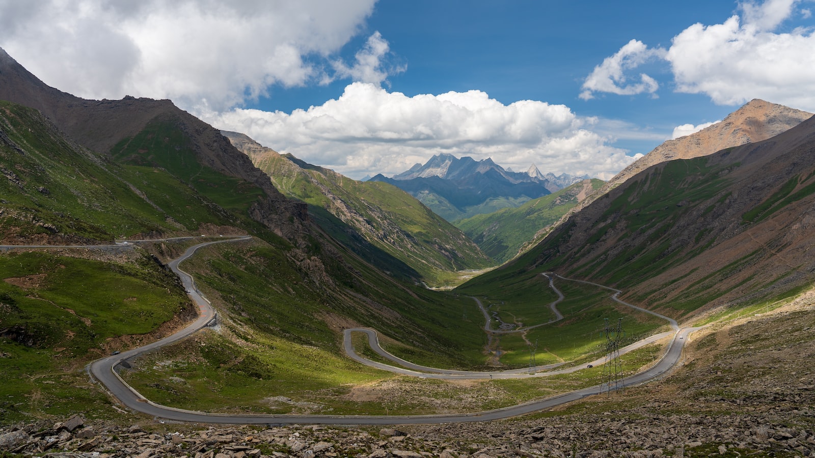 Que es la canela china