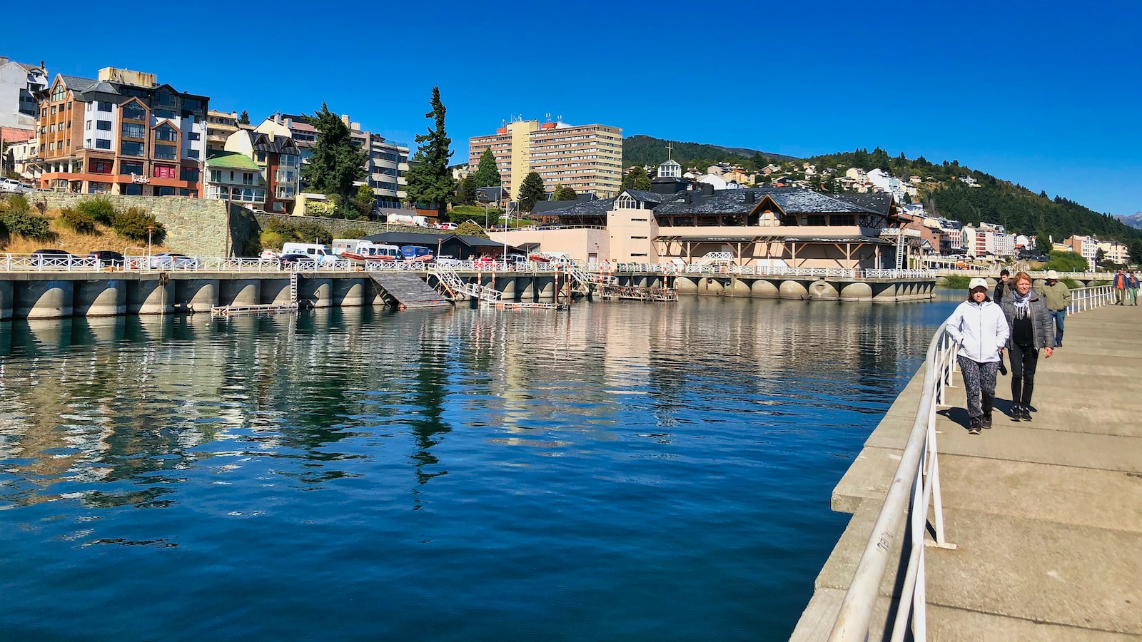 Arroz integral negro