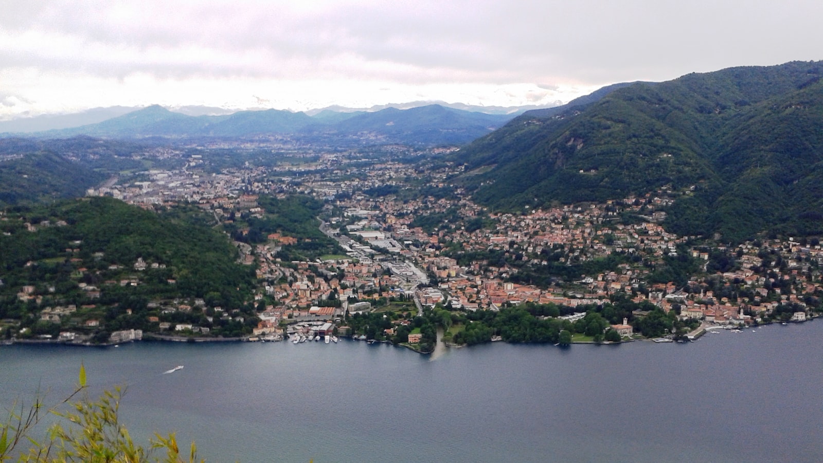 Salsa de soja propiedades