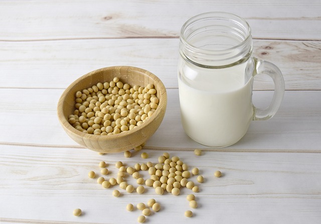 Soja alimentos
