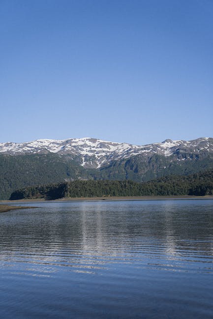 Recetas con soja verde