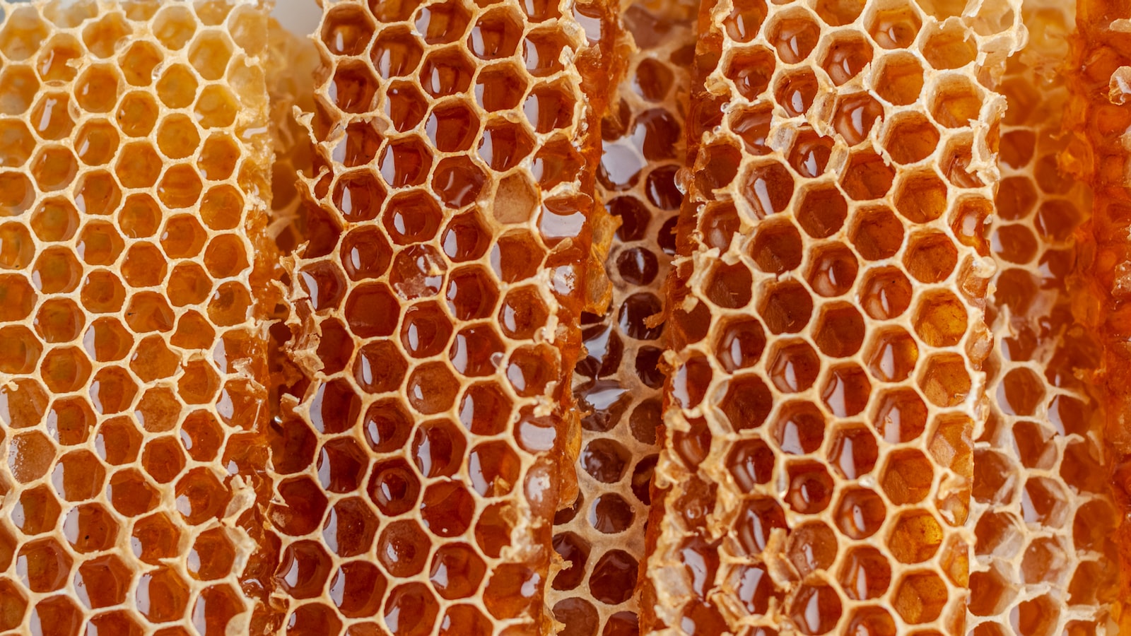 Miel indice glucemico