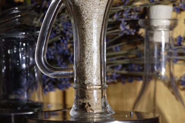 Psyllium husk propiedades