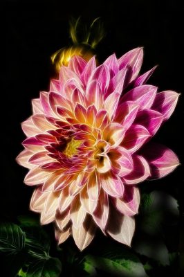 1. ¿Qué son la amilosa y la amilopectina en el arroz?