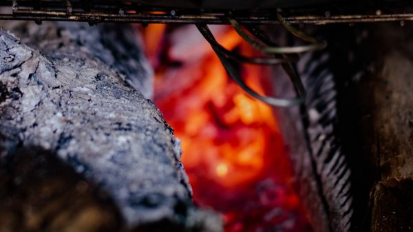 Origen de las castañas