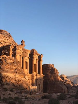 Harina petra